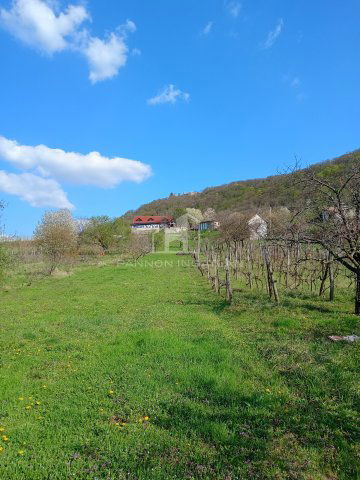 Eladó telek, Somlószőlősön 7.9 M Ft / költözzbe.hu