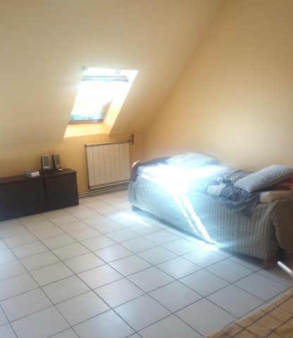 Kiadó családi ház, albérlet, Szentendrén 450 E Ft / hó