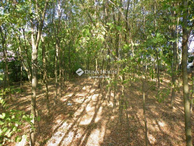 Eladó telek, Pécsett 10 M Ft / költözzbe.hu