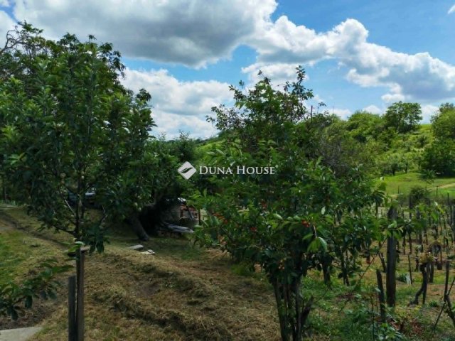 Eladó mezogazdasagi ingatlan, Tamásiban 17.5 M Ft, 1 szobás
