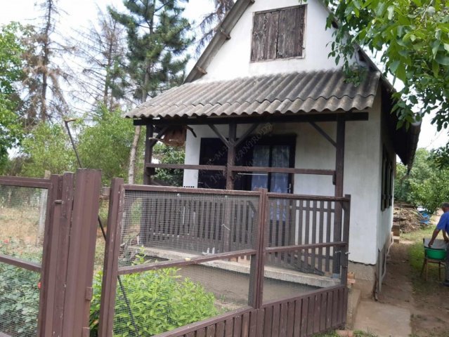 Eladó mezogazdasagi ingatlan, Szentesen 6.5 M Ft