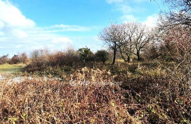 Eladó telek, Tésen 61.5 M Ft / költözzbe.hu