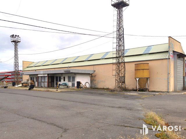 Kiadó ipari ingatlan, Békéscsabán 300 E Ft / hó