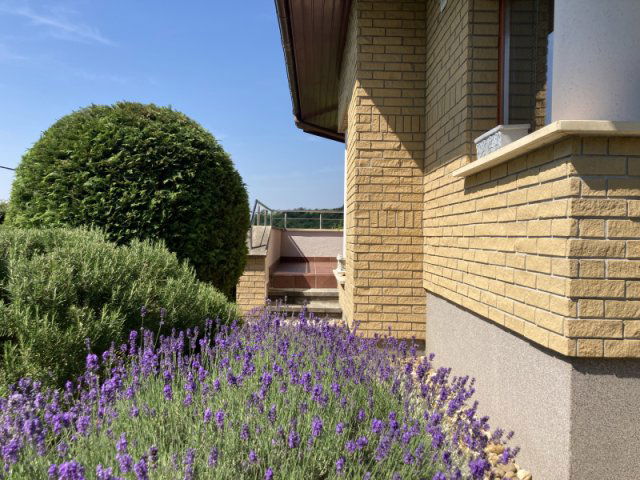 Eladó családi ház, Piliscsabán 239 M Ft, 5+1 szobás