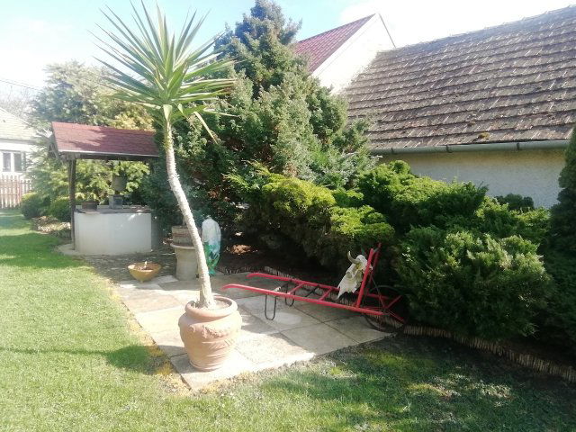 Eladó családi ház, Bérbaltaváron 54 M Ft, 2 szobás