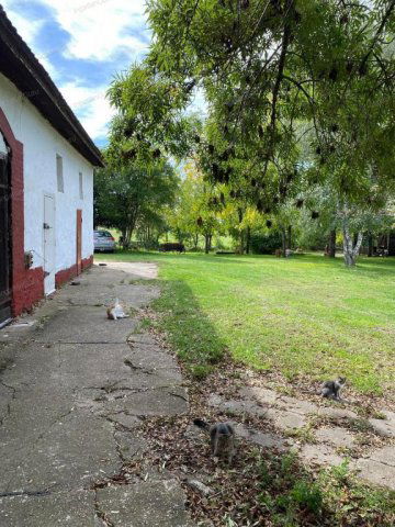 Eladó mezogazdasagi ingatlan, Lajosmizsén 205 M Ft, 22+4 szobás