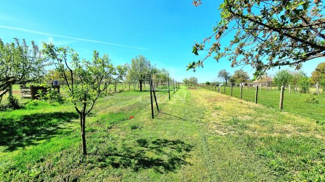 Eladó családi ház, Perőcsényen 54.9 M Ft, 3+1 szobás