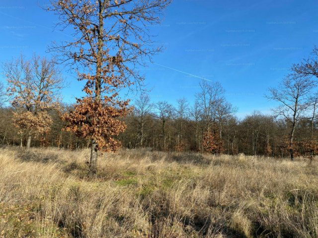 Eladó telek, Mindszentkállán 45 M Ft / költözzbe.hu