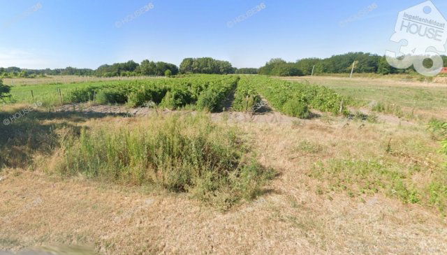 Eladó telek, Kecskeméten 16 M Ft / költözzbe.hu