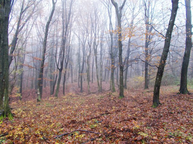 Eladó mezogazdasagi ingatlan, Orosztonyon 215 M Ft