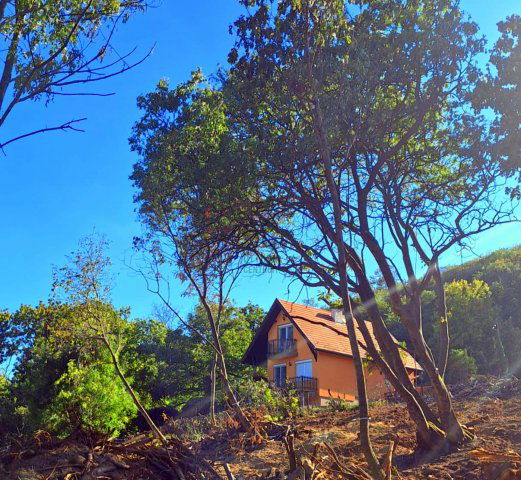 Eladó családi ház, Szentendrén, Szirom utcában 86 M Ft