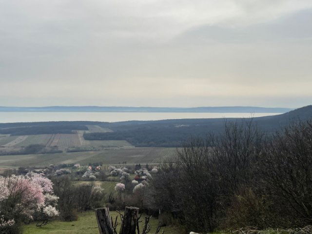 Eladó telek, Monoszlón 40 M Ft / költözzbe.hu