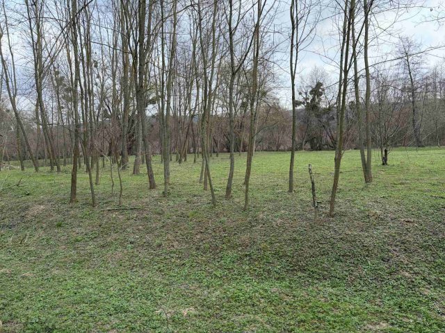 Eladó mezogazdasagi ingatlan, Jásdon 5.3 M Ft