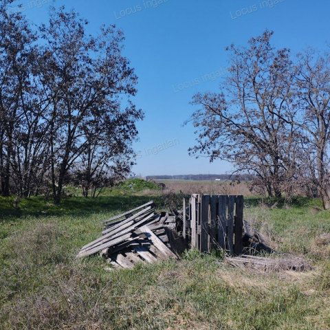 Eladó telek, Törökszentmiklóson 5.5 M Ft / költözzbe.hu