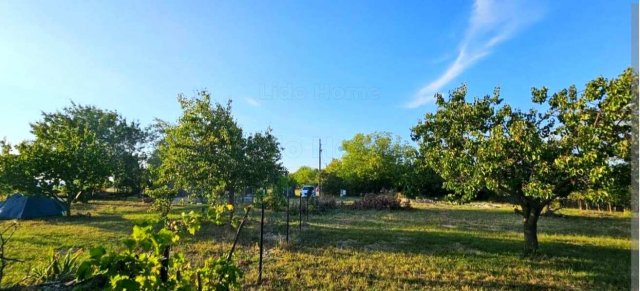 Eladó mezogazdasagi ingatlan, Siófokon 30 M Ft, 1 szobás