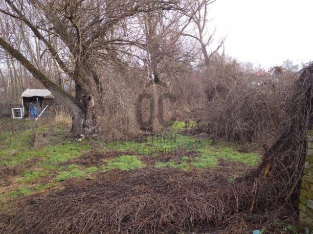 Eladó telek, Vajtán 5 M Ft / költözzbe.hu