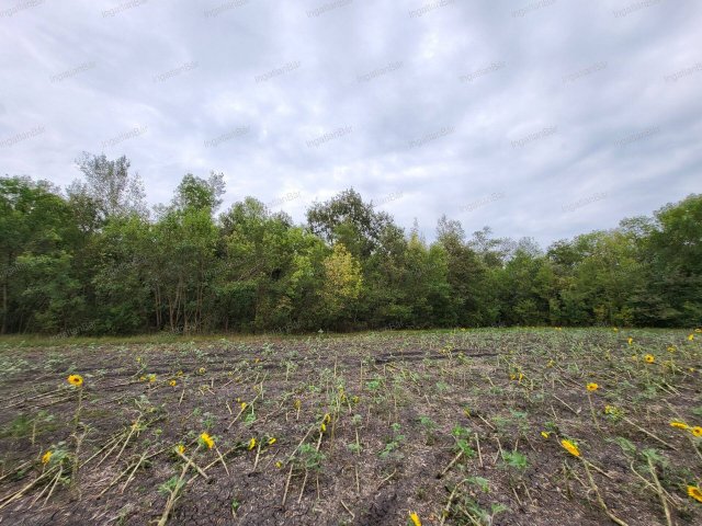 Eladó mezogazdasagi ingatlan, Tiborszálláson 32 M Ft