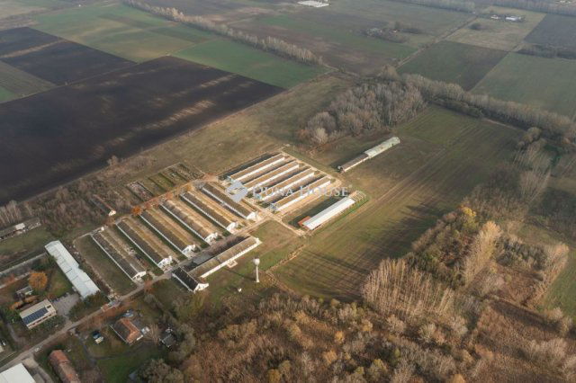 Eladó ipari ingatlan, Tiszaalpáron 550 M Ft / költözzbe.hu
