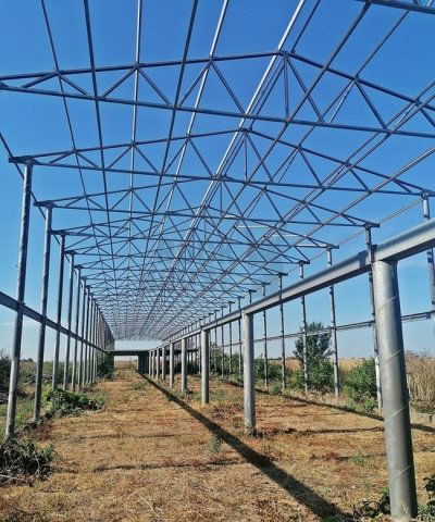 Eladó mezogazdasagi ingatlan, Csabaszabadiban 59 M Ft