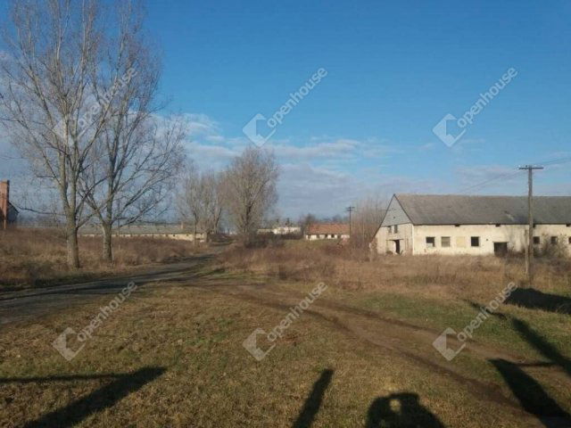 Eladó mezogazdasagi ingatlan, Bodajkon 171.45 M Ft
