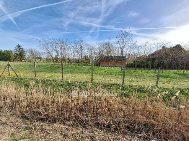 Eladó telek, Tiszajenőn 1.99 M Ft / költözzbe.hu