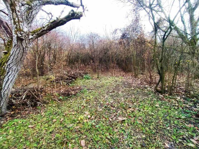 Eladó mezogazdasagi ingatlan, Verőcén 18.99 M Ft