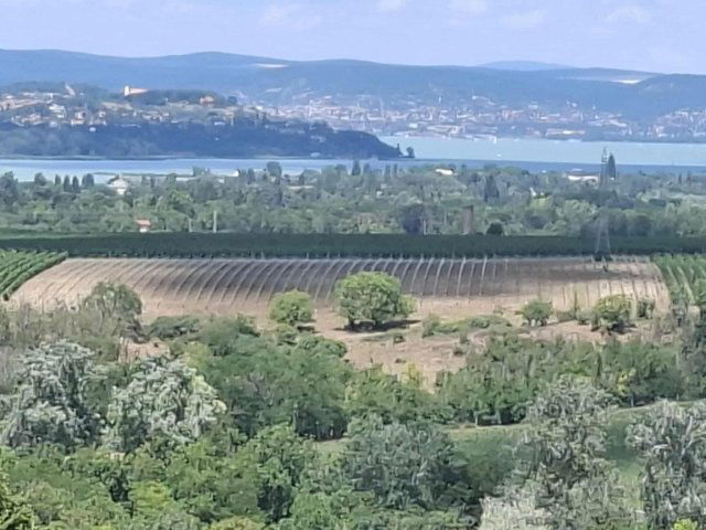 Eladó telek, Kőröshegyen 59 M Ft / költözzbe.hu