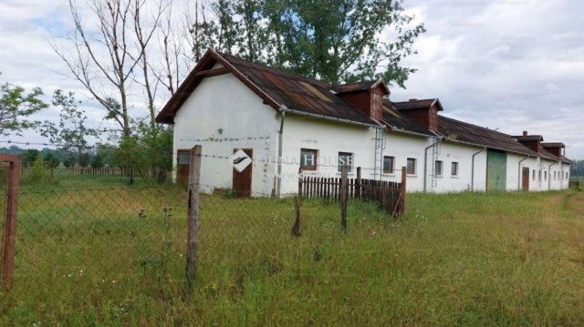 Eladó mezogazdasagi ingatlan, Ruzsán 45 M Ft