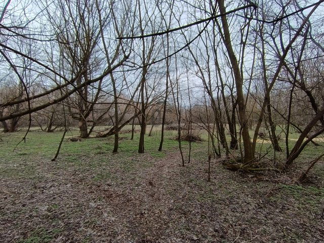 Eladó családi ház, Csemőn 89 M Ft, 4 szobás