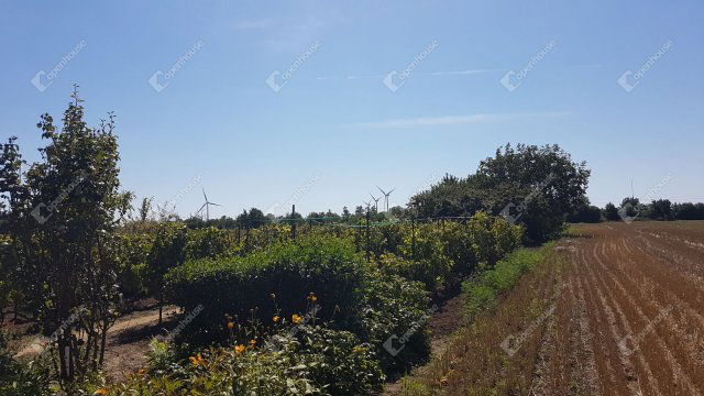 Eladó telek, Levélen 9.9 M Ft / költözzbe.hu