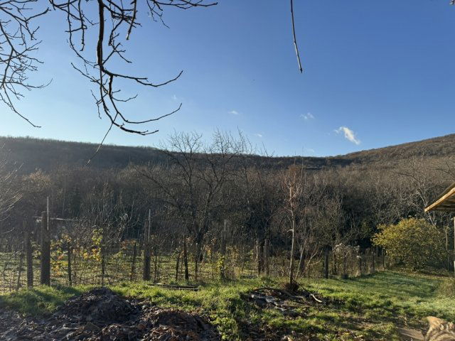 Eladó családi ház, Markazon 52 M Ft, 3 szobás