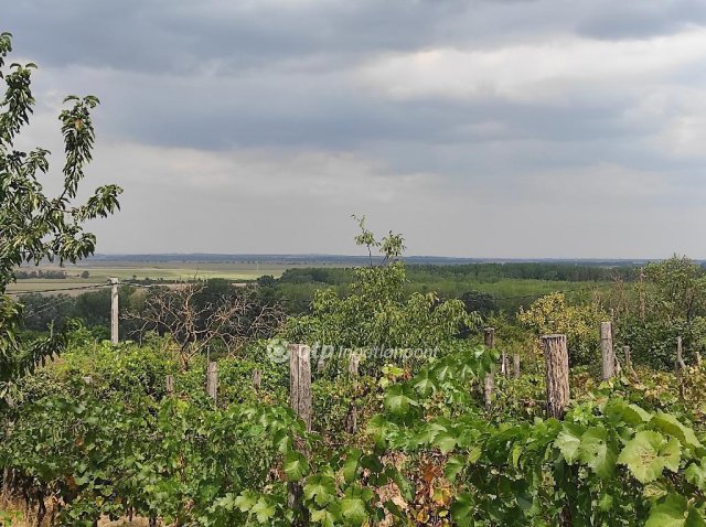Eladó telek, Szekszárdon 2.8 M Ft / költözzbe.hu