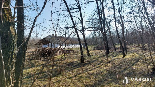 Eladó mezogazdasagi ingatlan, Hosszúpályin 599 M Ft