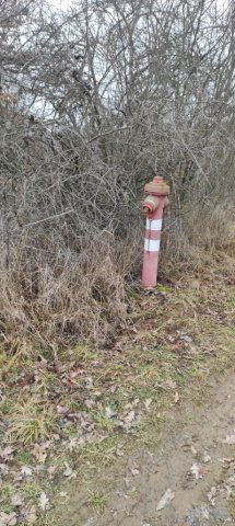 Eladó telek, Karancsalján 5 M Ft / költözzbe.hu