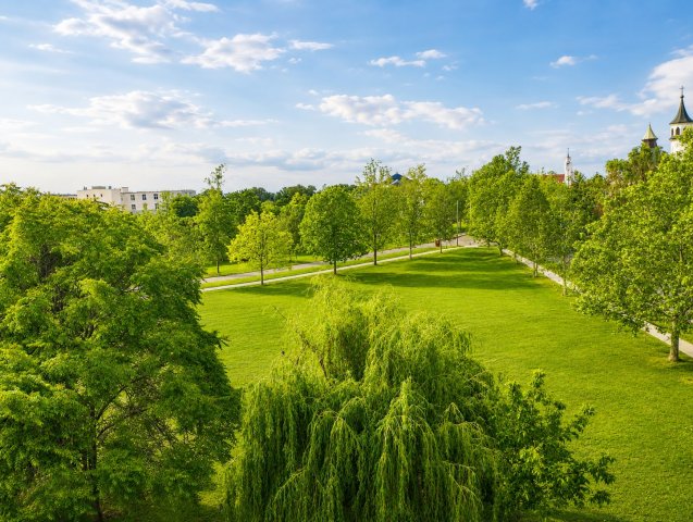 Eladó téglalakás, Martfűn 32.5 M Ft, 3 szobás