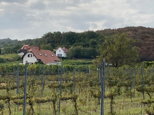 Eladó családi ház, Vászolyon 183.82 M Ft, 5 szobás