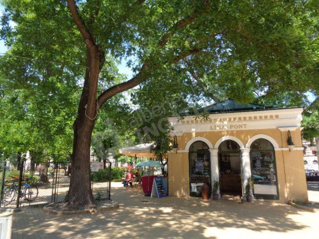 Kiadó téglalakás, albérlet, VII. kerületben, Hársfa utcában