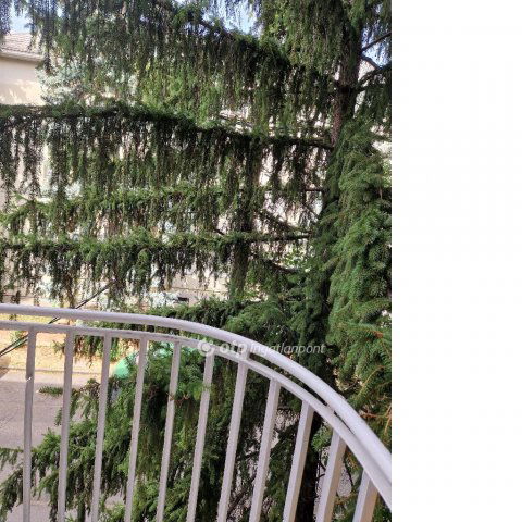 Kiadó téglalakás, albérlet, Budapesten, XI. kerületben