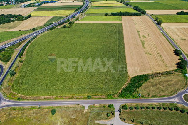 Eladó telek, Pécsudvardon 49.999 M Ft / költözzbe.hu