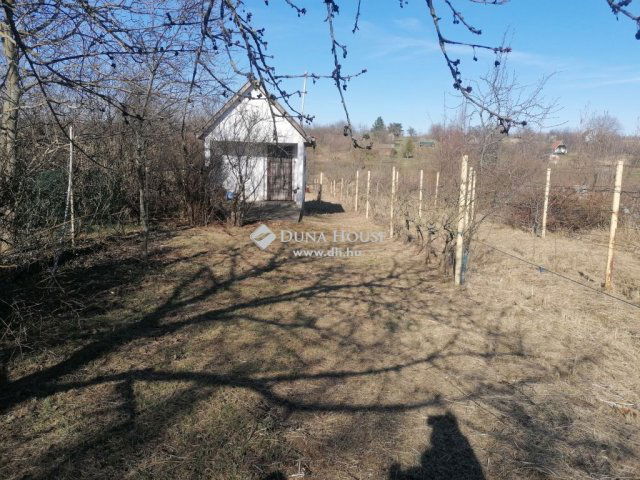 Eladó telek, Hatvanban 5.5 M Ft / költözzbe.hu