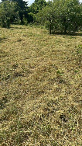 Eladó telek, Pilisvörösváron 79.9 M Ft / költözzbe.hu