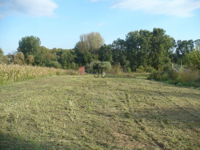 Eladó telek, Álmosdon 8.2 M Ft / költözzbe.hu