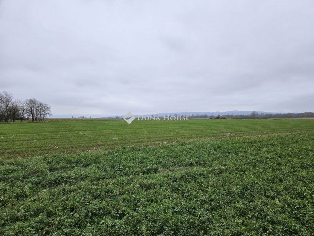 Eladó telek, Csóton 5 M Ft / költözzbe.hu