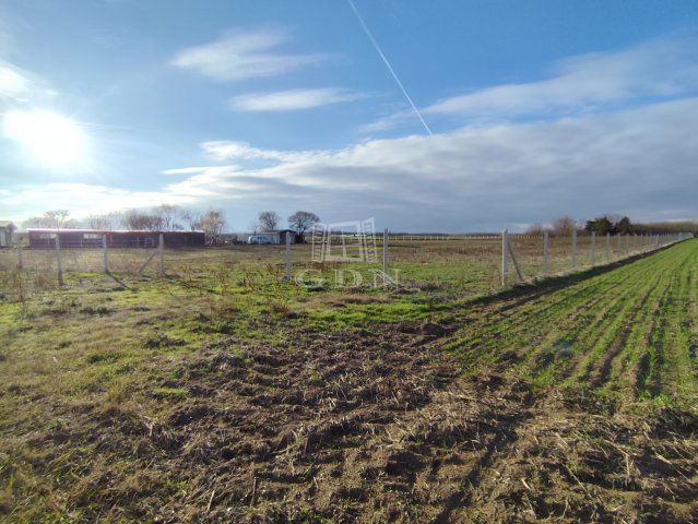 Eladó telek, Kecskeméten 18.5 M Ft / költözzbe.hu