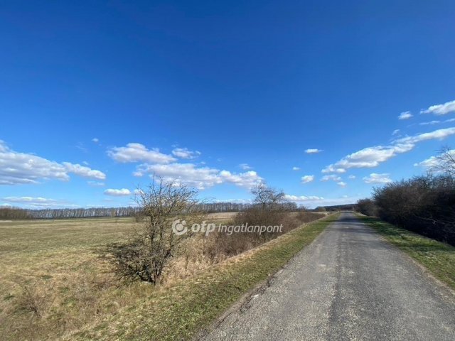 Eladó mezogazdasagi ingatlan, Egyeken 44 M Ft