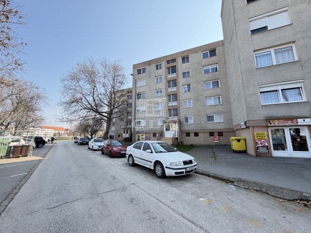 Kiadó panellakás, albérlet, Székesfehérvárott 165 E Ft / hó