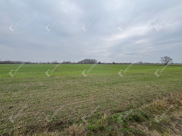 Eladó telek, Csévharaszton 90 M Ft / költözzbe.hu