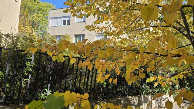 Eladó téglalakás, Budapesten, I. kerületben, Számadó utcában