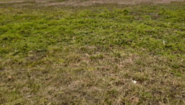 Eladó telek, Siófokon 198 M Ft / költözzbe.hu