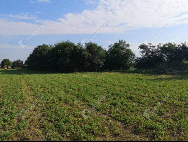 Eladó mezogazdasagi ingatlan, Gyomaendrődön 11.5 M Ft